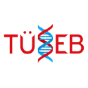 TUSEB