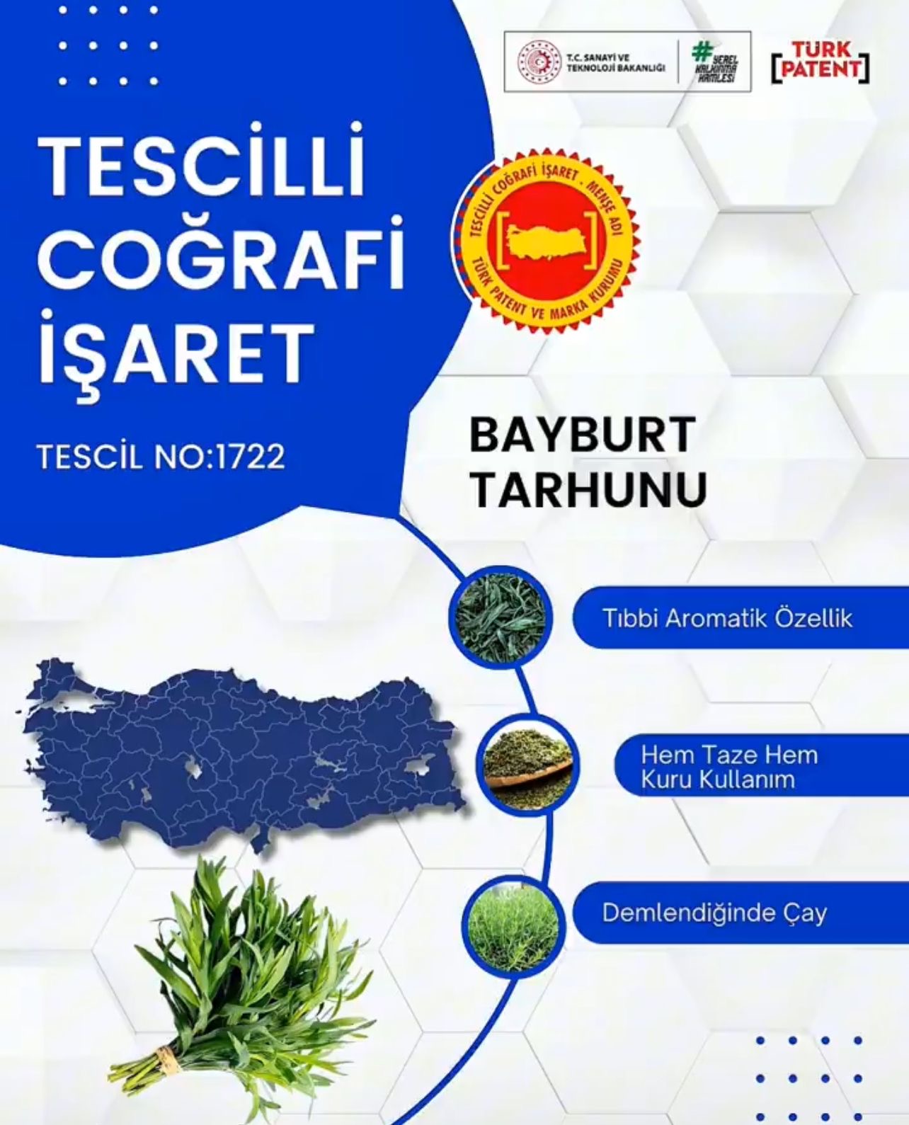 Şehrimize ve Çiftçilerimize Müjde: Bayburt Tarhununu Resmi Olarak Tescilledik